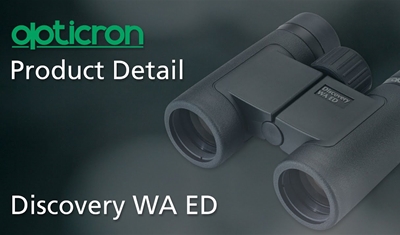 Discovery WA ED 8x32 | Opticron